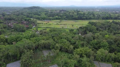 Drone view of Borobudur Temple in Central Java, Indonesia 스톡 동영상 324214030