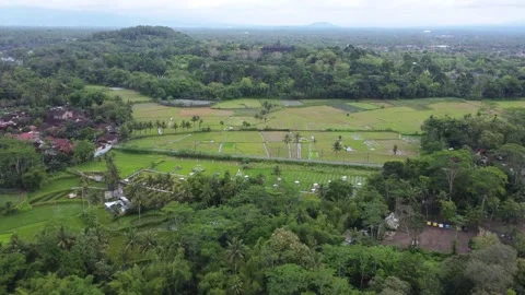 Drone view of Borobudur Temple in Central Java, Indonesia Stock Footage 324214375