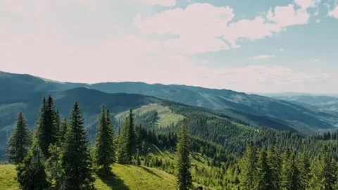 Drone view of breathtaking mountain landscape with coniferous trees Stock Footage 247641690