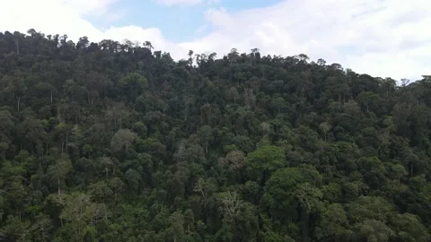 Drone view of Bukit Raya which used to be Permatang Old Village Stock Footage 149112494
