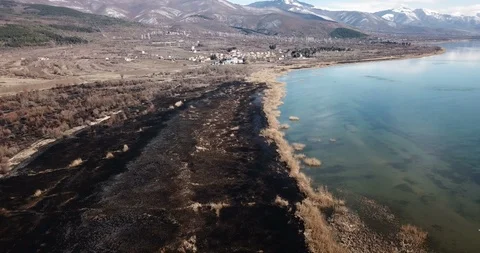 Drone view of a burned reed on a shore of lake ohrid in macedonia Video stock 106193774