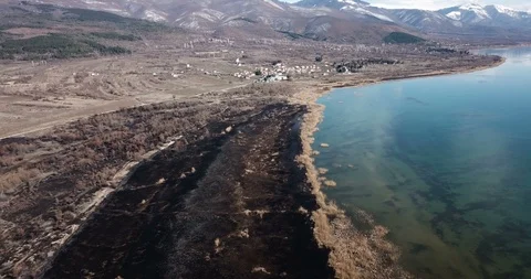 Drone view of a burned reed on a shore of lake ohrid in macedonia Video stock 106193780