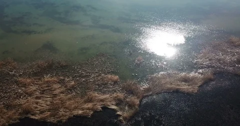 Drone view of a burned reed on a shore of lake ohrid in macedonia Stock Footage
