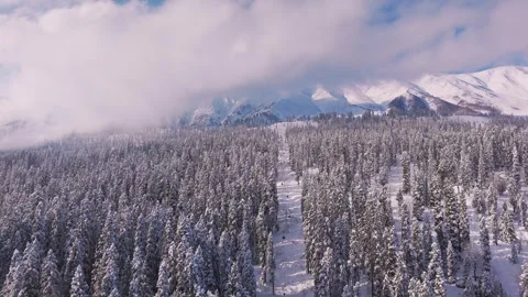 Drone view: cable car traveling through frozen serenity. Stock Footage 311946570
