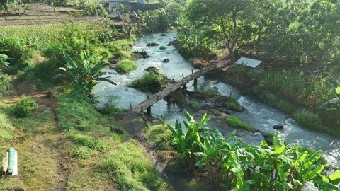 Drone View of Calm River with Bridge and Greenery Stock Footage 309916204