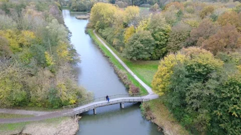 Drone View of Canal Through Autumn Forest Stock Footage 321656904