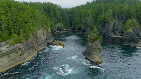 Drone view of Cape Flattery Stock-Footage 282629463
