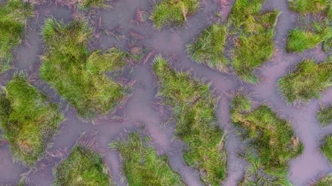 Drone view captures marsh horizon 動画素材 329347941