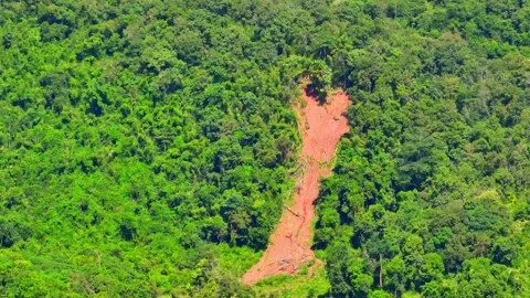 A drone view captures a massive landslide. Stock Footage 320040430