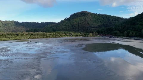 Drone view captures muddy land near mangrove trees Video stock 329238380