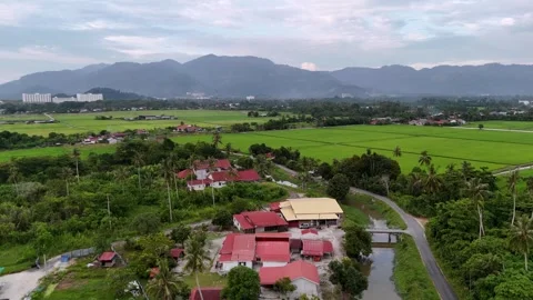 Drone view captures river winding across rural village in Balik Pulau Видео 332224788