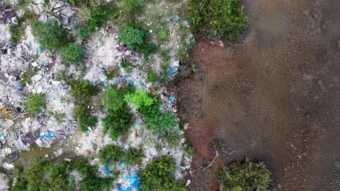 Drone view captures rubbish scattered across wetland Vídeo Stock 332228893