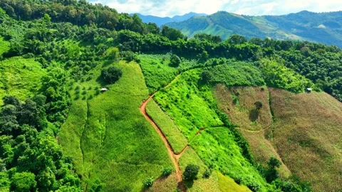 Drone view capturing deforestation for farming on high terrain. Stock Footage 320040890