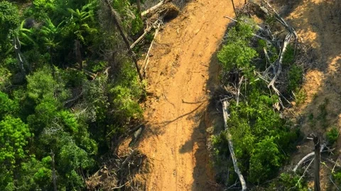 Drone view capturing tropical deforestation. 스톡 동영상 333356490