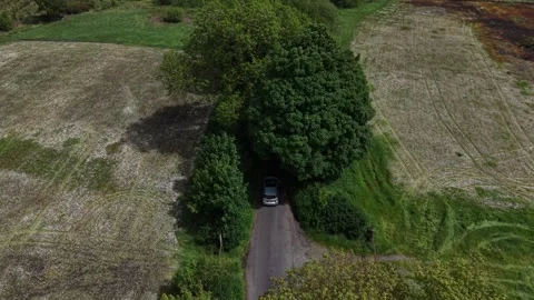 Drone View of Car Driving Along Forest Road Stock Footage 335622065