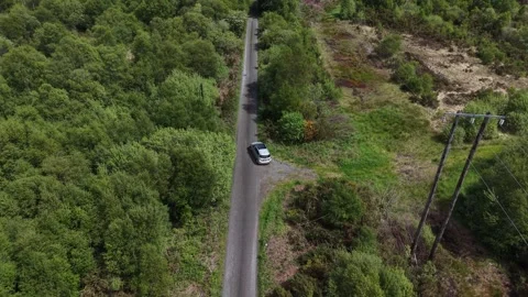 Drone View of Car Driving Along Forest Road Stock Footage 335622100