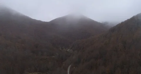 Drone view of a car driving through a cloudy forest in Navarra, Spain Stock Footage 111837066