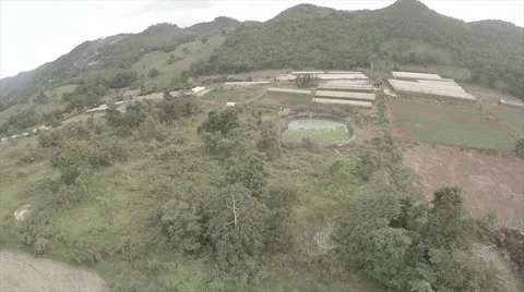 Drone view of Caribbean mountains and greenery Video stock 62529158