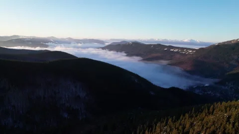 Drone view of Carpathian Mountains with snowy meadow, dark conifer hills Stock Footage 346726929