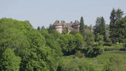 Drone view of a castel surrounded by forest Stock Footage 131306056