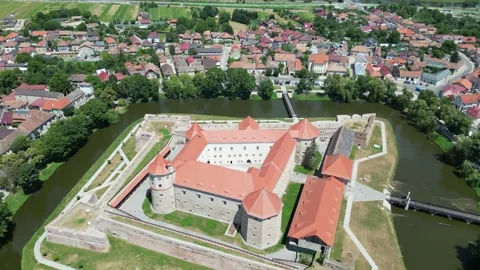 Drone view, castle Stock Footage 313062773