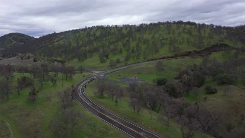 Drone View Cattle Ranching California Stock Footage 142774286