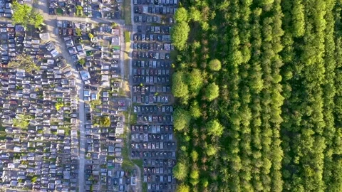 Drone view of cemetery pattern and apple trees orchard in Rogow, Poland Stock Footage 136534556