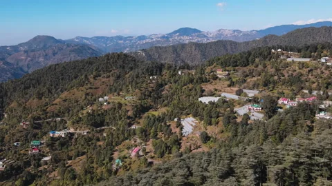 Drone view of clear blue sky and Cedar Deodar forest on a sunny day.  Video stock 164108095