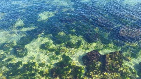Drone view of clear turquoise water moving over rocky seabed formations Stock Footage 322161144
