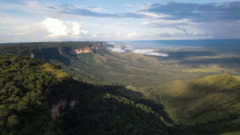 Drone View of Cliffs and Valley in Chapada dos Guimaraes Mato Grosso Brazil Stock Footage 310194021