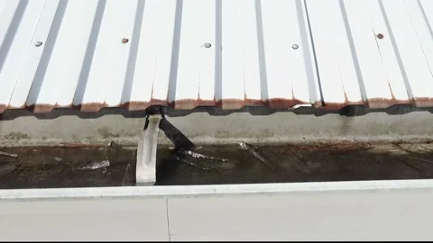 Drone View of Clogged Guttering Stock Footage 146242738