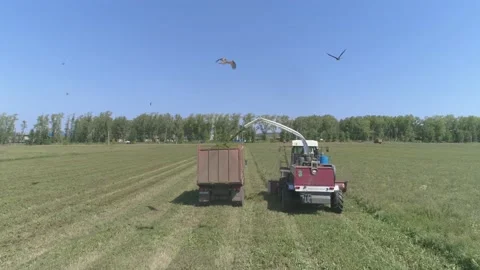 Drone view of Combine harvesting and tru... | Stock Video | Pond5
