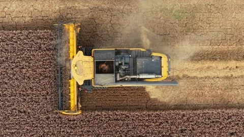 Drone view combine harvesting wheat in field. Top view harvester cutting ripe Stock Footage 328357886