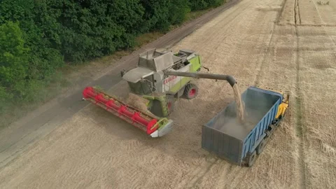 Drone view of combine loading off corn grains into truck. Agricultural machines 스톡 동영상 248050283