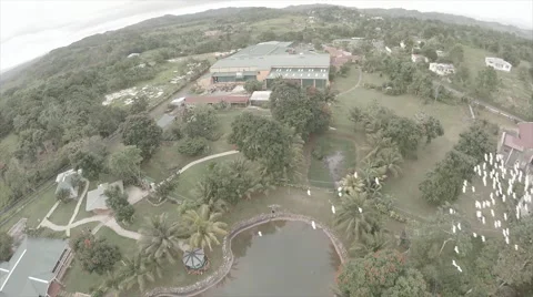 Drone view of compound on mountain and birds Stock Footage 62527587