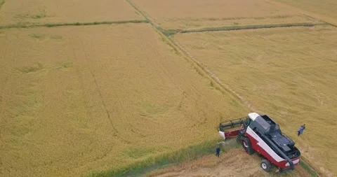 Drone view of the construction machine working in the agricultural land Stock Footage 257254266