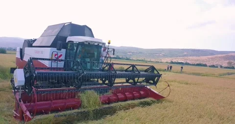 Drone view of the construction machine working in the agricultural land Stock Footage 257259035