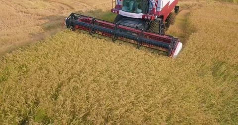 Drone view of the construction machine working in the agricultural land Stock Footage 257261140