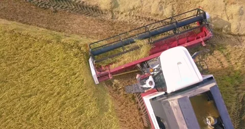 Drone view of the construction machine working in the agricultural land Stock Footage 257261141