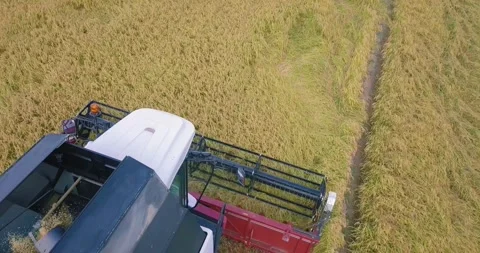 Drone view of the construction machine working in the agricultural land Stock Footage 257265596
