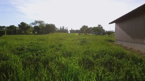 Drone view of country in summer Stock Footage 71212799