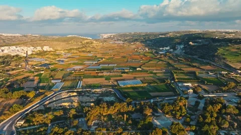 Drone view of countryside agriculture fields and popular beach. Malta island Stock Footage 323857097