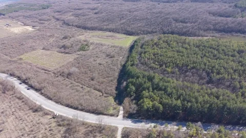 Drone view of countryside road with forest and open fields 스톡 동영상 330768962