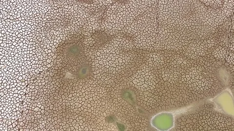 Drone view of cracked soil showing severe drought impact. Video stock 274375985