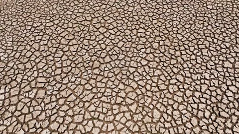 Drone view of cracked soil showing severe drought impact. Stock Footage 274376099