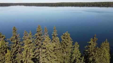 Drone view crane up of lake and forest in Manitoba in the summer Stock Footage 203232409