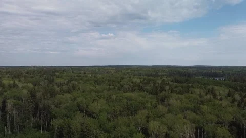 Drone view crane up of lake and forest in Manitoba in the summer Stock Footage 203233761