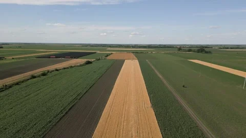 Drone view of crop fields Stock Footage 287108705