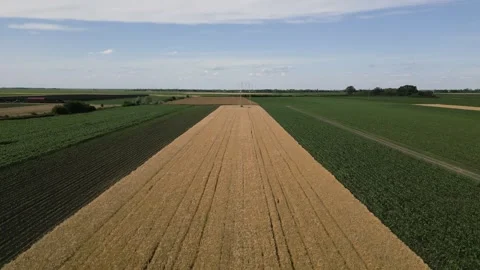 Drone view of crop fields 動画素材 287109203