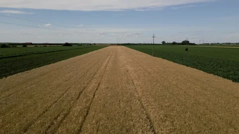 Drone view of crop fields Stock Footage 287109349